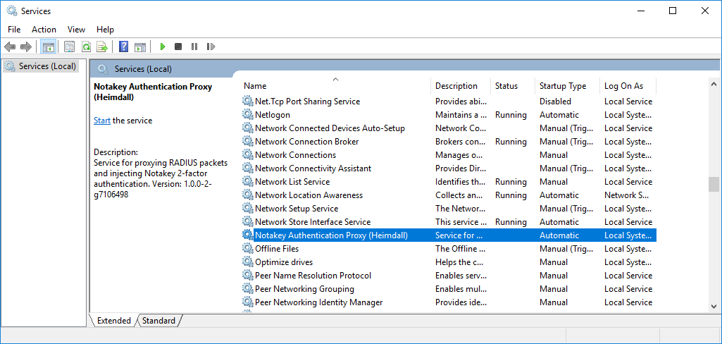 NtkP Windows Service NtkP Windows Service